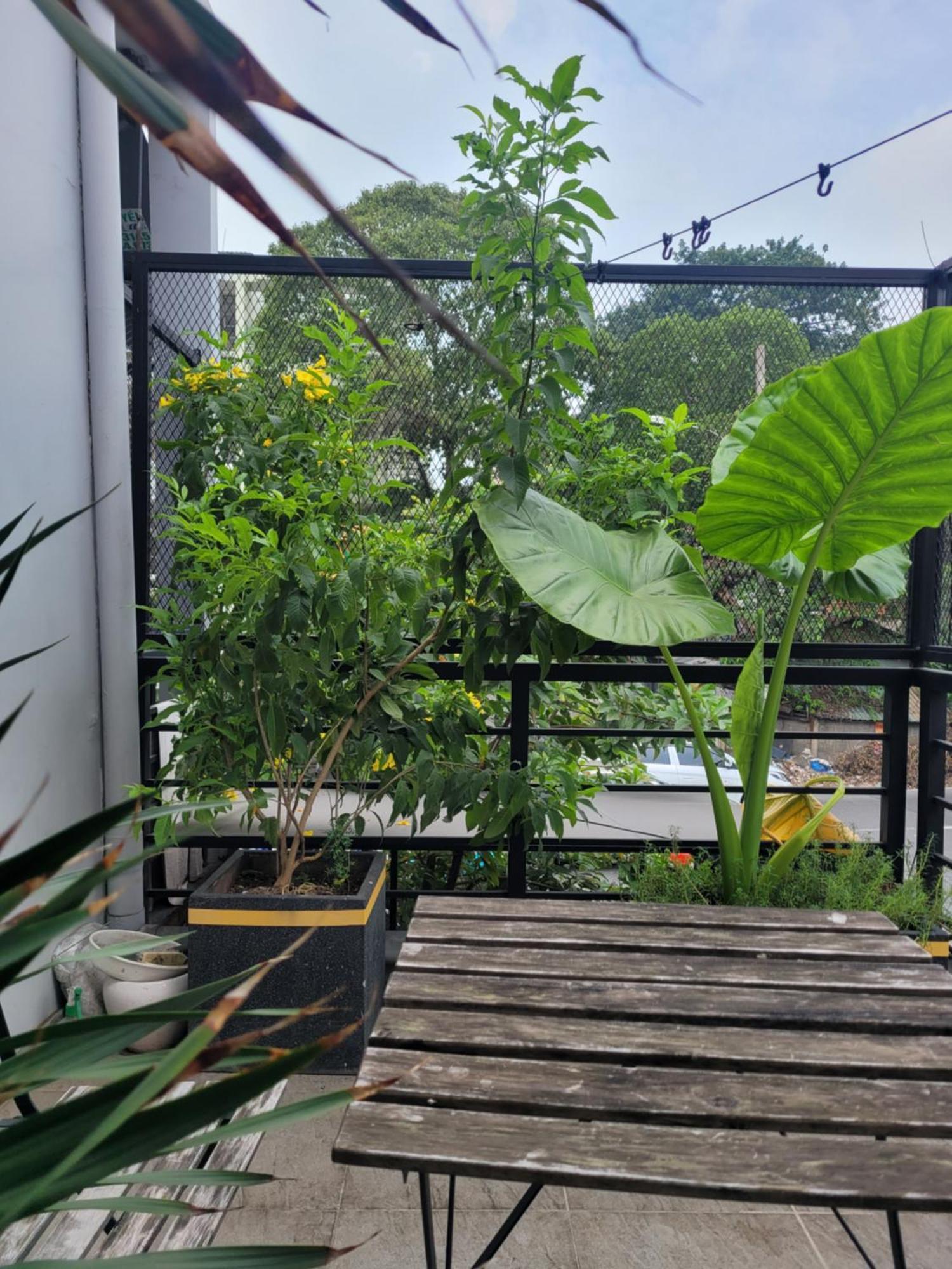 Agk House - Homestay - 406 Xo Viet Nghe Tinh, P25, Binh Thanh, Gan Nga 4 Hang Xanh Ho Chi Minh City Bagian luar foto